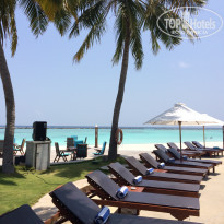 фото из отзыва ID 1524849