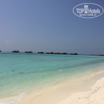 фото из отзыва ID 1524849