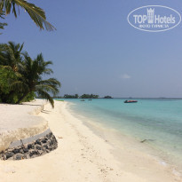 фото из отзыва ID 1524849