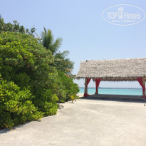 фото из отзыва ID 1524849