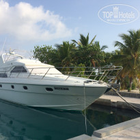 фото из отзыва ID 1524849