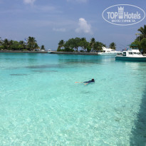 фото из отзыва ID 1524849