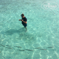 фото из отзыва ID 1524849