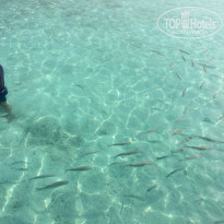 фото из отзыва ID 1524849