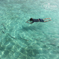 фото из отзыва ID 1524849