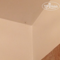 фото из отзыва ID 1524999