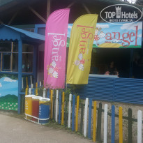 фото из отзыва ID 1525026