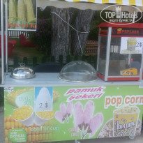 фото из отзыва ID 1525026