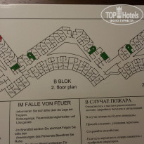 фото из отзыва ID 1525026