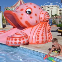 фото из отзыва ID 1525204