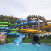 фото из отзыва ID 1525296