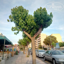 фото из отзыва ID 1525386