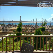 фото из отзыва ID 1525469