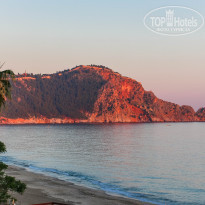 фото из отзыва ID 1525472