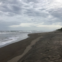 фото из отзыва ID 1525511