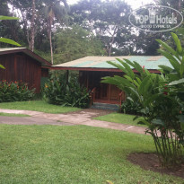 фото из отзыва ID 1525511