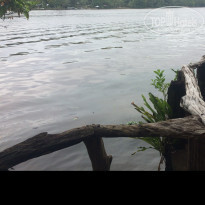 фото из отзыва ID 1525511