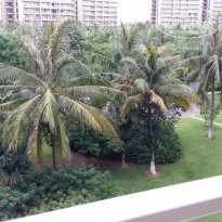 фото из отзыва ID 1525658