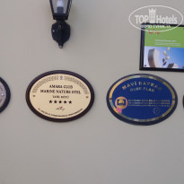 фото из отзыва ID 1525717