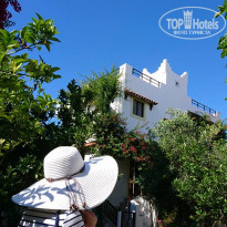 фото из отзыва ID 1525761