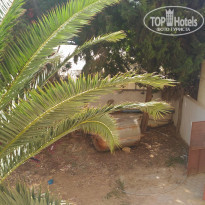 фото из отзыва ID 1525816