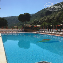 фото из отзыва ID 1525839