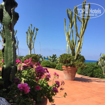 фото из отзыва ID 1525865