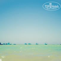 фото из отзыва ID 1525881