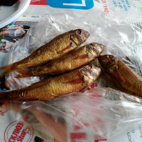 фото из отзыва ID 1525956