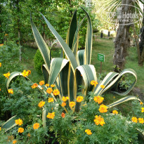 фото из отзыва ID 1525956