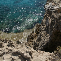 фото из отзыва ID 1525984