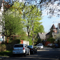 фото из отзыва ID 1526038