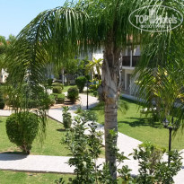 фото из отзыва ID 1526061