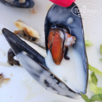 фото из отзыва ID 1526074