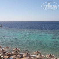 фото из отзыва ID 1526100