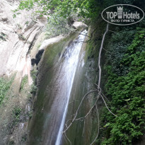 фото из отзыва ID 1526211