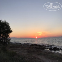 фото из отзыва ID 1526421