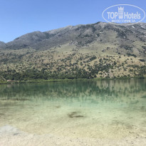 фото из отзыва ID 1526421