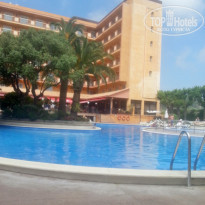 фото из отзыва ID 1526609