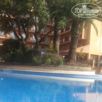 фото из отзыва ID 1526609