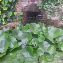 фото из отзыва ID 1526609