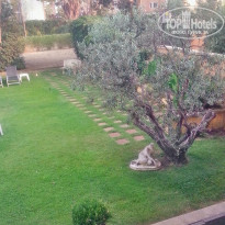 фото из отзыва ID 1526609