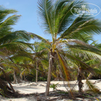 фото из отзыва ID 1526899