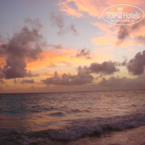 фото из отзыва ID 1526899