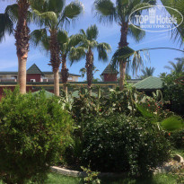 фото из отзыва ID 1527055