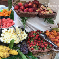 фото из отзыва ID 1527066