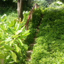 фото из отзыва ID 1527211