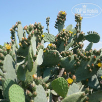 фото из отзыва ID 1525328