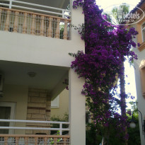 фото из отзыва ID 1527318