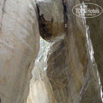 фото из отзыва ID 1527594